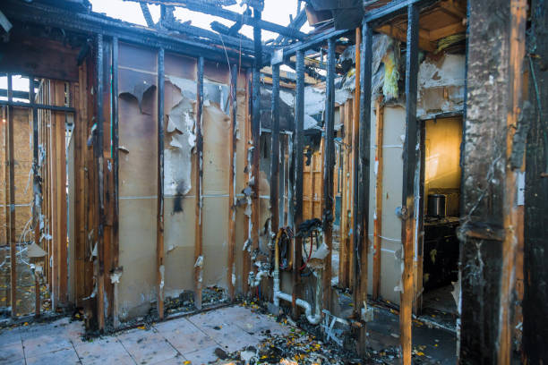Professional Fire Damage Removal technician working in Long Valley, NJ